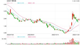 碧桂园午后暴拉至14%，今日碧桂园总授信额度将超千亿元