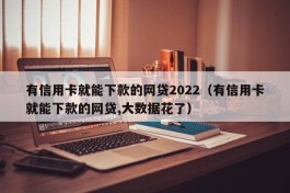 有信用卡就能下款的网贷2022（有信用卡就能下款的网贷,大数据花了）