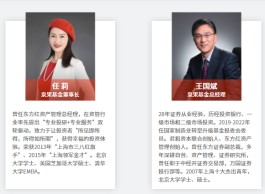 王国斌+任莉 比“陈光明+傅鹏博”还强的大佬出山 赵诣能否撕掉新能源标签存疑