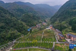 重庆南川：农旅融合助推乡村振兴