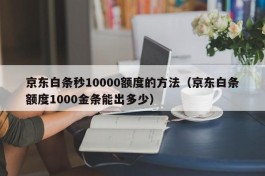 京东白条秒10000额度的方法（京东白条额度1000金条能出多少）