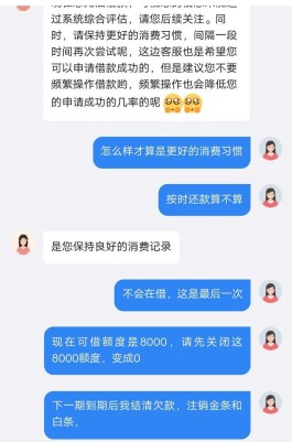 欠京东白条金条5000逾期半年后果(京东白条逾期5000两年多了,会立案吗)