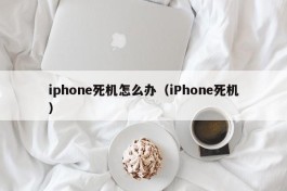 iphone死机怎么办（iPhone死机）