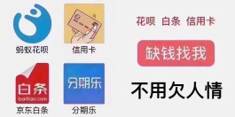 白条分分卡是网贷吗(白条分分卡不是恶心人吗)