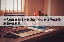 个人信用无抵押小额贷款（个人无抵押信用贷款是什么意思）