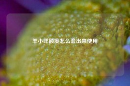 羊小咩享花卡怎么开通使用，一文解答