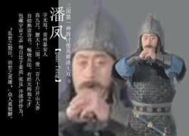 潘凤为什么叫无双上将(潘凤为什么能火成“无双上将”？看看网友们是如何脑洞的吧)