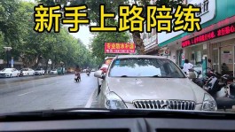 新手上路技巧视频(新手上路教程视频)