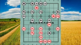 象棋开局技巧(象棋开局技巧要领)