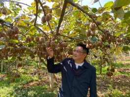 大学教授与果农的十年“牵手”