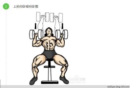 哑铃锻炼方法(哑铃锻炼方法图解全套)
