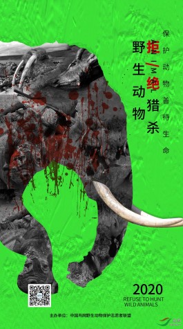 动物保护自己的方法(动物保护自己的方法图片)