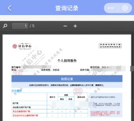 微信分付使用记录上征信吗怎么查(微信分付使用记录上征信吗怎么查不到)