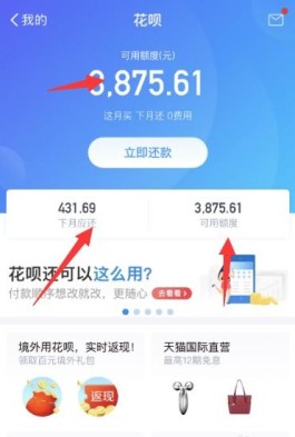 支付宝蚂蚁花呗提现的简单教程，我们不妨一起去看看哦