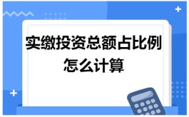 比例怎么算(投资比例怎么算)