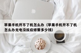 苹果手机开不了机怎么办（苹果手机开不了机怎么办充电没反应修要多少钱）