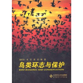 保护鸟类的方法(保护鸟类的方法画图)