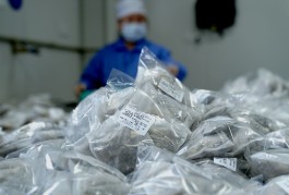 中药配方颗粒板块异动背后，标准换挡期下竞争格局重塑