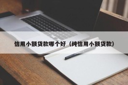 信用小额贷款哪个好（纯信用小额贷款）