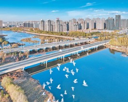 协同治理天蓝水清