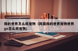 我的世界怎么抓宠物（网易我的世界宠物世界go怎么抓宠物）