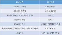 电子路考技巧(电子路考技巧与方法)