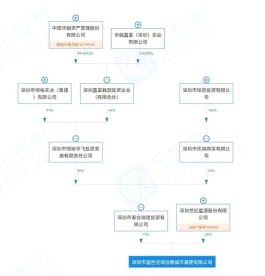 恒裕柏悦湾十年风云：崔湘秀求援，龚海鹏捆绑华融入局