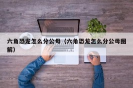 六角恐龙怎么分公母（六角恐龙怎么分公母图解）
