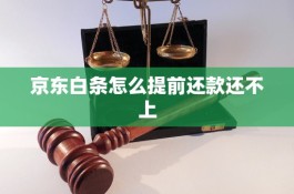 京东白条怎么提前还全款(京东白条怎么提前还全款未出账的)