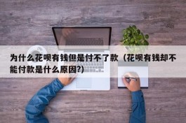 为什么花呗有钱但是付不了款（花呗有钱却不能付款是什么原因?）