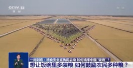 一问到底丨粮食安全宣传周启动 如何端牢中国“饭碗”？