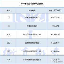 能源投资集团是什么单位(能源投资有限公司是干嘛的)