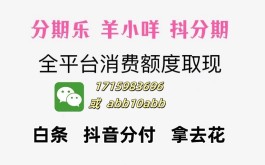 羊小咩6000购物额度怎么套出来,试试这十个方法的简单介绍