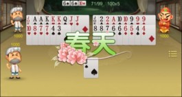 斗地主的技巧和诀窍(打斗地主的技巧和诀窍)
