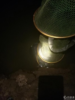 夜钓技巧(大河夜钓技巧)