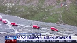 第五届中国国际进口博览会：强化应急管理合作 实现全球可持续发展