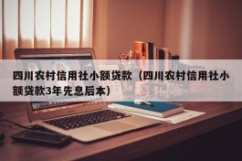 四川农村信用社小额贷款（四川农村信用社小额贷款3年先息后本）