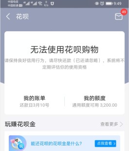 支付宝花呗借呗无力偿还了怎么办(支付宝花呗借呗无力偿还了怎么办啊)