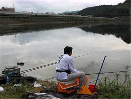 水库钓鱼技巧(晚春水库钓鱼技巧)