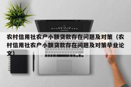 农村信用社农户小额贷款存在问题及对策（农村信用社农户小额贷款存在问题及对策毕业论文）