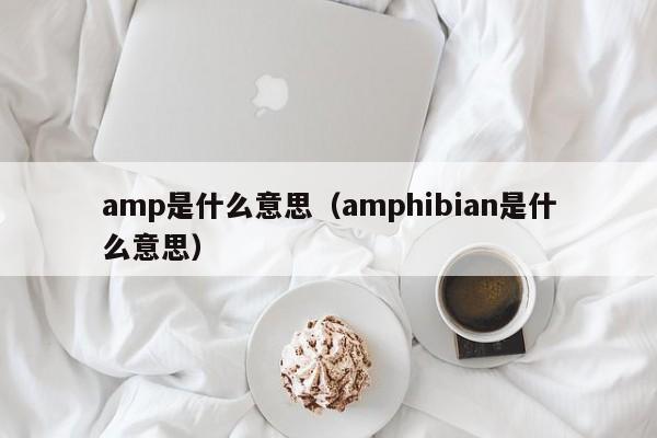 amp是什么意思（amphibian是什么意思）
