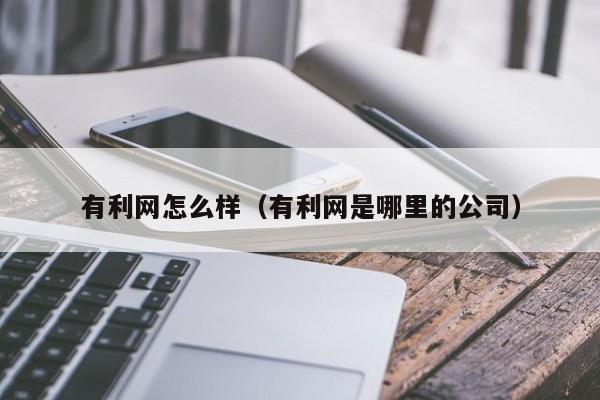 有利网怎么样（有利网是哪里的公司）