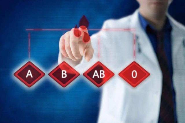 b型血为什么叫贵族血(A型、B型、AB型、O型血的人，哪种血型身体好些？你是哪种血型) 第5张