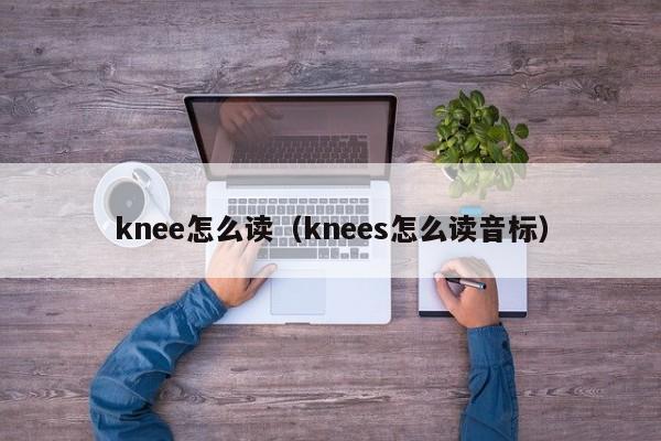 knee怎么读（knees怎么读音标）