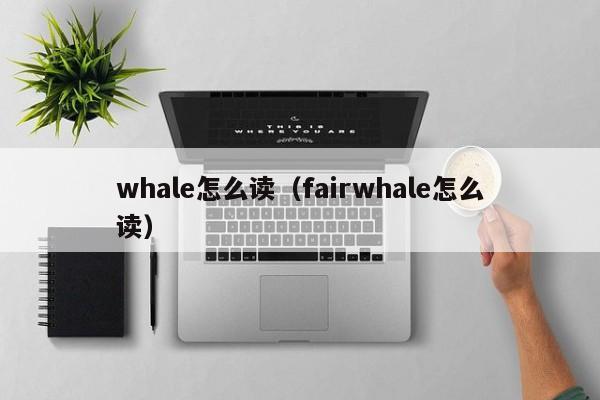 whale怎么读（fairwhale怎么读）