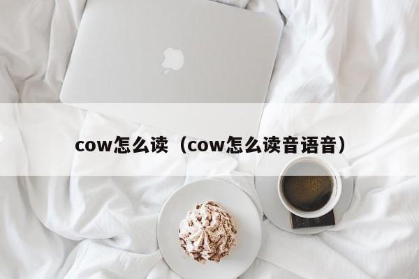 cow怎么读（cow怎么读音语音）