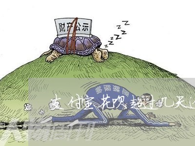 支付宝花呗不能付款(支付宝花呗不能付款给家人,之前可以)